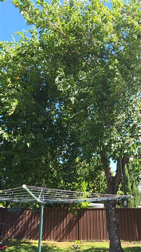 #smallengine #diy #4stroke