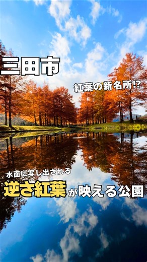 さんだふるらいふ|兵庫 三田から"地域"を盛り上げたい！ | 🍁 三田市に紅葉の新名所⁉︎✨ みなさん、三田市にこんな美しい「逆さ紅葉」が映えるスポットをご存知ですか？👀 🏞️ 水面に写し出される紅葉がまるで絵画のよう... これは、あの画家クロード・モネが愛した睡蓮の池を思わせる美しさ！... | Instagram