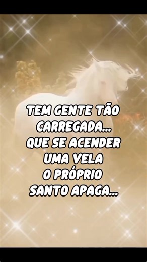 #angelaseixas #seixas5663 | Angela Seixas