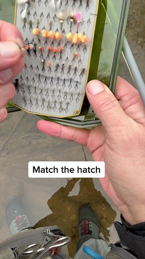 Midge hatch, trout exploding the surface. How i matched the hatch and failed. #flyfishing #fishtok #fishing #flyfishingnation #flyfishinglife #fishingtiktok #flyfishdelawhere #matchthehatch #troutfishing #troutflyfishing #fisherman #fishermen #fishermenoftiktok #fishingchallenge #aventuronusa