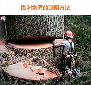 8.8K views · 83 reactions | 這真是一個了不起的技能！ | G.S 最好的木匠 | Facebook