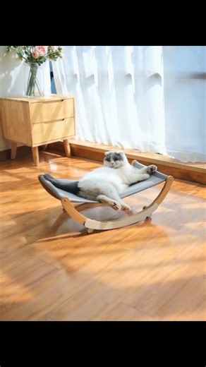 DiaLux Store | Solid Wood Cat Rocking Hammock Dual Purpose - The Perfect Combination of Comfort and Style Give your cat the ultimate relaxation... | Instagram