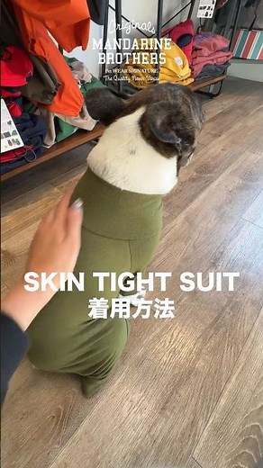 マンダリンブラザーズ SKIN TIGHT SUIT（スキンタイトスーツ）着用動画 #マンダリンブラザーズ