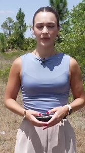 8.6K views · 33 reactions | IS IT ENOUGH?: Despite adding more Lehigh code enforcement officers, violations continue County data shows Lehigh has highest number of commercial vehicle citations, but residents say enforcement still falls short despite adding two officers in January. | Fox 4 | Facebook