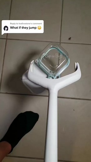 Exploring the Fascinating World of Bug Catching and Entomology