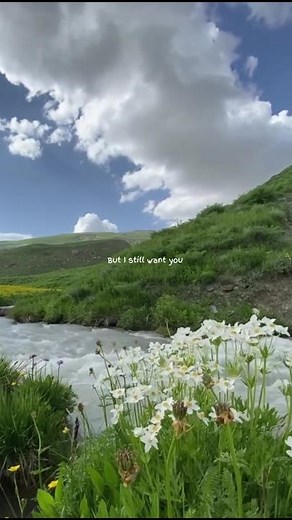 🎧 BTS - the truth untold lyrics #bts #btssongs #lyrics #thetruthuntold #kpop