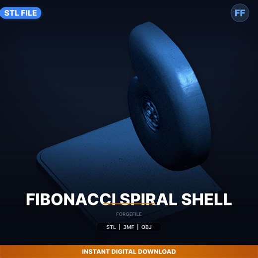 Fibonacci Spiral Shell STL-Datei | STEM Lernwerkzeug | 3D Druck Download - Etsy.de