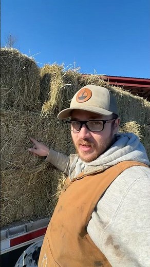 What is the best kind of hay for horses?
