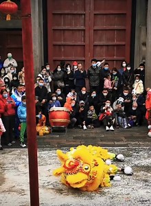 280K views · 10K reactions | 看这只可爱的醉狮子，你知道这是什么表演吗？ Look at this cute...