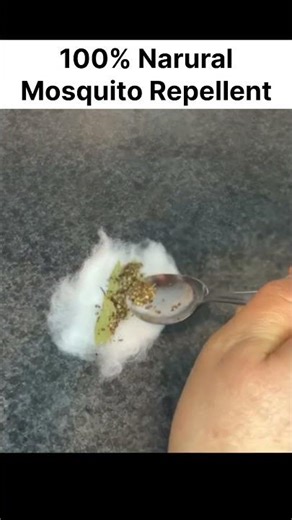 Mosquitoes disappear in 1 minute 😱 | No Coil No Spray | This desi trick will work 100%!