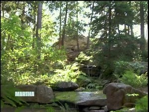 Martha leads a tour of the grounds surrounding her Maine summer home, Skylands, designed by the legendary landscape designer Jens Jensen. https://bit.ly/3ROe5j9 | Martha Stewart