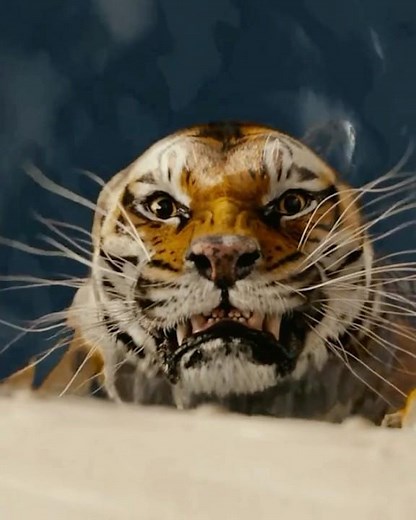 🏝️ Life of Pi: The Unlikely Friendship Between Pi & Richard Parker! 🐅