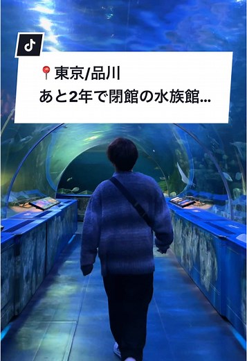 しながわ水族館の閉館と再オープンの真実