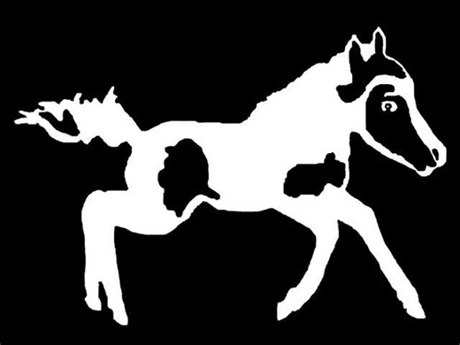 37 reactions · 3 comments | #smalleststallion | Einstein the Smallest Stallion | Facebook