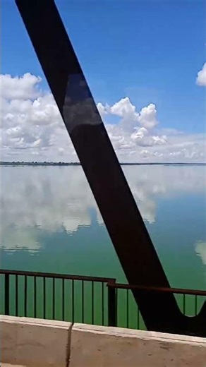 5 de fevereiro de 2026: viajando e admirando #flowers