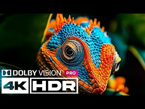 Phenomenal 4K HDR 60FPS Video Songs Captivating Dolby Vision Ultra HD Relaxing Demo