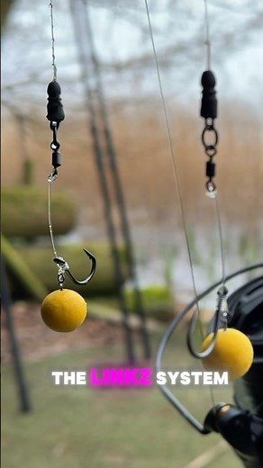 EASILY create a BRILLIANT 🤩 Hinged Stiff Rig for #carpfishing #fishing #monstercarp 🎣