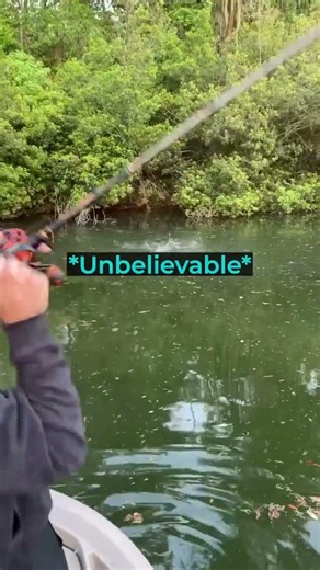 The Fastest Catch You'll Ever See!