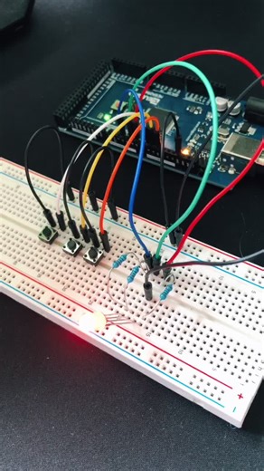 Timors Project Journey on TikTok