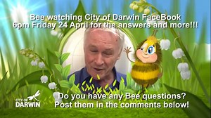 4 comments | City of Darwin on Reels | Facebook