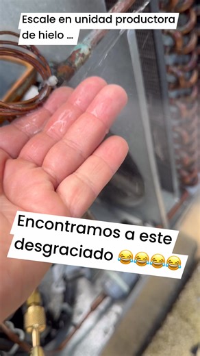 La fricción por vibración dentro del equipo productor de hielo, causó este escape de gas. Hay que cambiar pieza ya este control de presión está obsoleto. | Ice Machine Puerto Rico