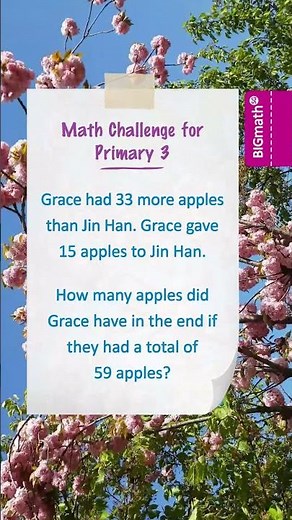 Grade 3 Math Quiz 13: Solve the Primary 3 Word Problem