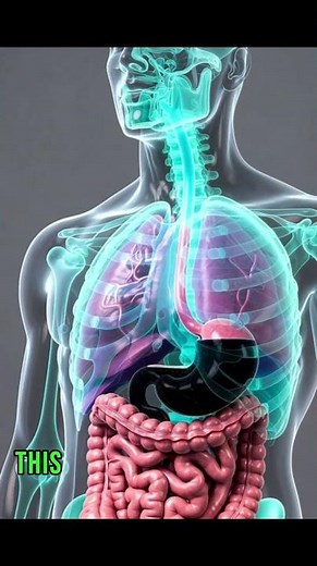 What Happens If You Drink Coke Every Day?