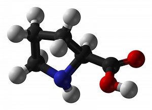 Définition | Proline : qu'est-ce que c'est ? | Futura santé