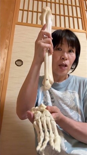 骨格構造🦴推し活㉚🦴腓骨・脛骨・くるぶし