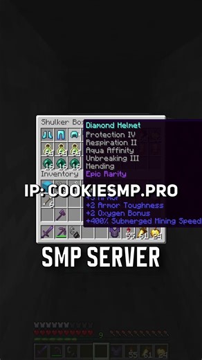 IP: cookiesmp.pro ONLY ONE Player Will Find This… - Cookie SMP #minecraft #cookiesmp #smp