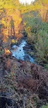 I found a mud hole that no vehicle can make it through