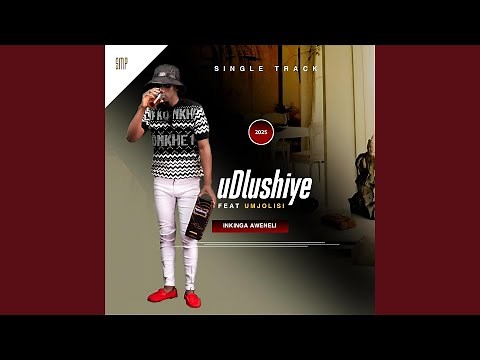 INKINGA AWENELI (feat. MJOLISI)