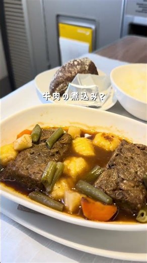 イベリア航空のビジネスクラス乗ってきた✈️ #イベリア #ビジネスクラス #海外旅行 #ひとり旅