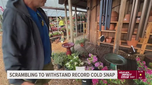 Record early cold snap has Tampa Bay residents protecting pets, plants and people