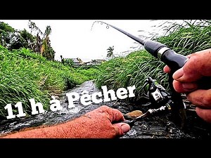 MON DEFI !🐟Pêcher au Leurre Descendre La Rivière jusqu'à L'embouchure