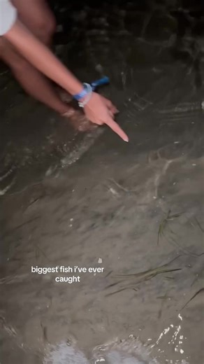 Catching the Biggest Bass Fish at the Beach