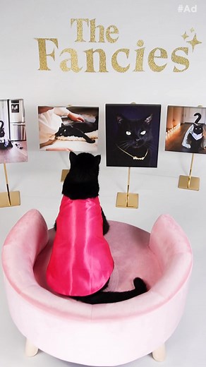 Join me 🐈‍⬛️ for The Fancies✨️ NO PURCHASE NEC. Open to 50 U.S. & D.C., 18 (19 for AL & NE). Ends on 3/10/24 see rules @ fancyfeast.com/TheFancies. #Sponsored #TheFanciesCatContest