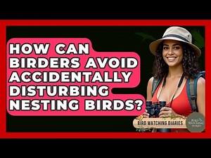 How Can Birders Avoid Accidentally Disturbing Nesting Birds? - Bird Watching Diaries
