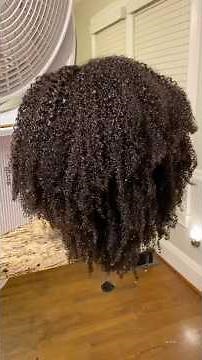 AFRO KINKY CURLY WIG | 4A/B Kinks Wig