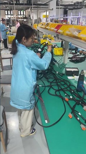 Professional Automotive Wiring Harness Assembly and Processing