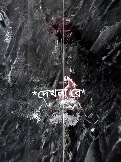 Funny Cat Moments on TikTok