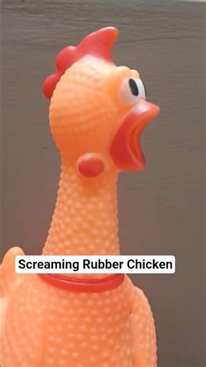 Screaming Rubber Chicken #viral #toys #viraltoys #trend #trendingtoys #shorts