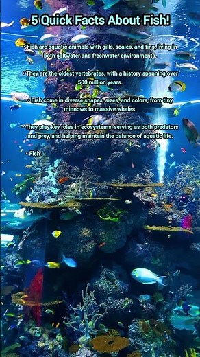 5 Quick Facts About Fish!