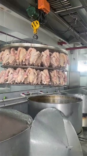 Industrial Chicken Processing: An Inside Look