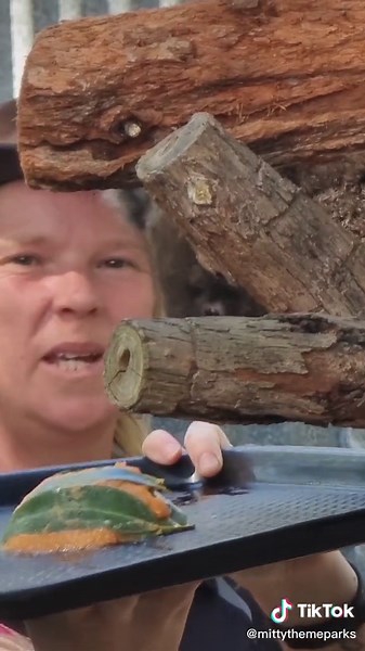 Banjo the Koala's 1st Birthday Celebration