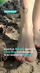 37K views | A park in Moscow has just opened a 3 km trail that takes barefoot hikers across wood bridges, stone paths, pine cones, and even horse manure. Hear from park-goers who braved the rough path. | CGTN America | Facebook