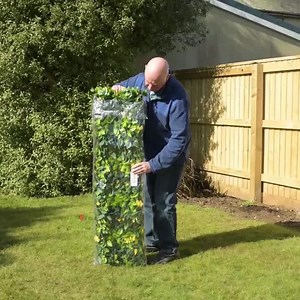 6.6M views · 87K reactions | Perfect decoration of your house while protecting privacy！ GET ithttps://bit.ly/3qmaGcB | Singaffec ting | Facebook