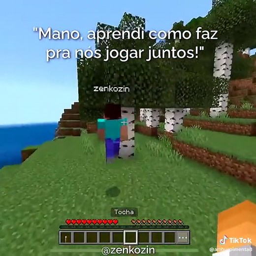 Como jogar Minecraft com um amigo na mesma internet (passo a passo)