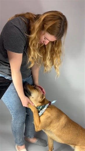 5K views · 276 reactions | Update - Adopted! --- Bad news - Lucy...