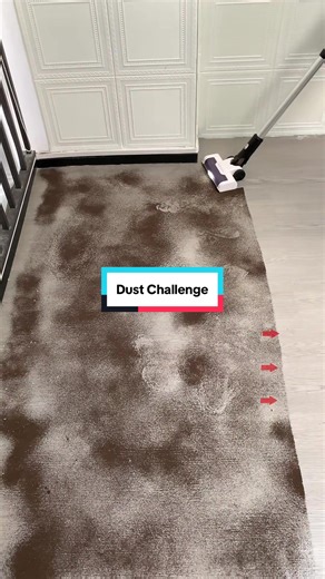 Dust Challenge: Effective Cleaning Tips You Can't Miss
